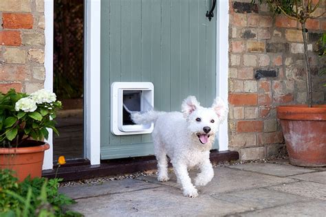 pet dor with rf id control|best rfid pet doors.